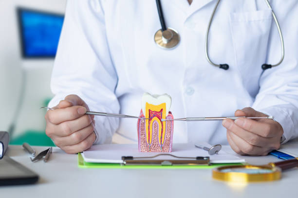 Best Tooth Pain Emergency Relief  in Tallmadge, OH